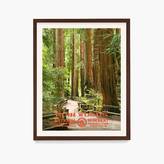 Muir Woods Poster, National Park Wall Art